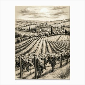 Tuscany Vineyard Canvas Print