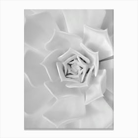 Black And White Flower Canvas Print