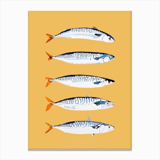 The Freshwater Five Canvas Print