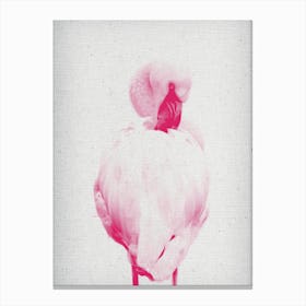 Froilein Flamingo II Canvas Print