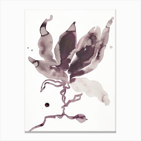 Magnolia 53 Canvas Print