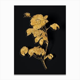 Vintage Vintage Rose Botanical in Gold on Black n.0108 Canvas Print