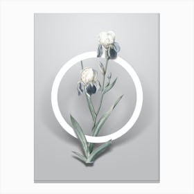 Vintage Elder Scented Iris Minimalist Botanical Geometric Circle on Soft Gray n.0421 Canvas Print