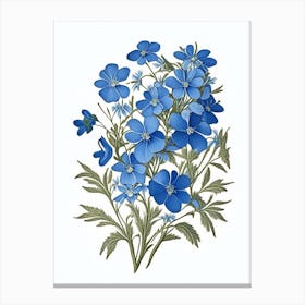 Wild Blue Phlox Wildflower Vintage Botanical 1 Canvas Print
