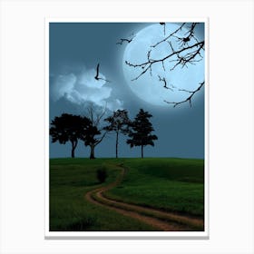 Full Moon In The Sky Canvas Print