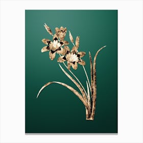 Gold Botanical Ixia Tricolore on Dark Spring Green n.1762 Canvas Print