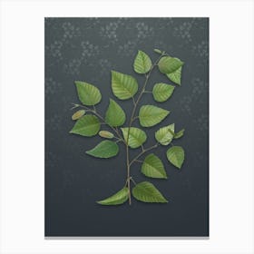 Vintage Paper Birch Botanical on Slate Gray Pattern Canvas Print