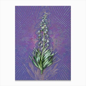 Vintage Persian Lily Botanical Illustration on Veri Peri Canvas Print