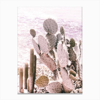 California Cactus Canvas Print