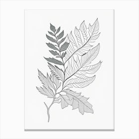 Curry Leaf Herb William Morris Inspired Line Drawing 1 Canvas Print