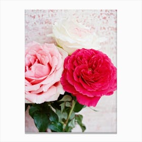 A Closeup Of A Rose The Archetype Of Romance And Beauty Rendered In Vibrant Hues Such As Tender Pi (2) Canvas Print