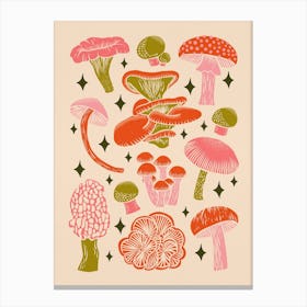 Texas Mushrooms   Bright Multicolor On Tan Canvas Print