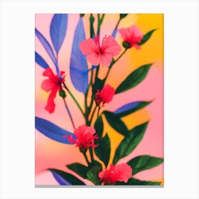 Hibiscus Colourful Illustration Plant Canvas Print