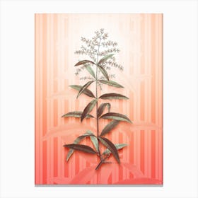 Lemon Verbena Vintage Botanical in Peach Fuzz Awning Stripes Pattern n.0228 Canvas Print