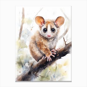 Light Watercolor Painting Of A Ringtail Possum 3 Canvas Print