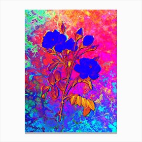White Rose Botanical in Acid Neon Pink Green and Blue n.0361 Canvas Print