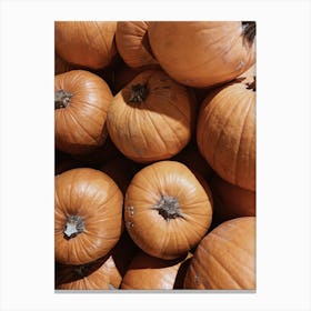 Pumpkins 1 Canvas Print