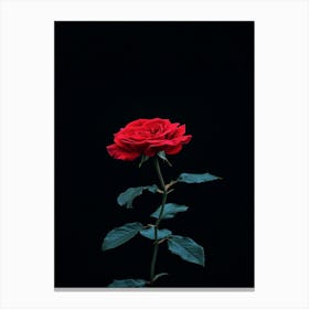 Red Rose On Black Background 51 Canvas Print