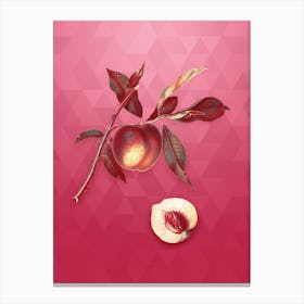 Vintage Peach Botanical in Gold on Viva Magenta n.0384 Canvas Print
