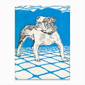 Bulldog Canvas Print