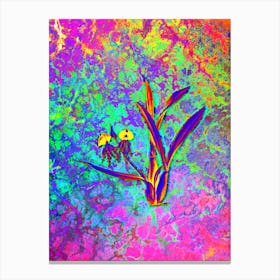 Clamshell Orchid Botanical in Acid Neon Pink Green and Blue Canvas Print