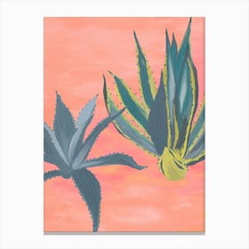 Coral Pink Cacti Canvas Print