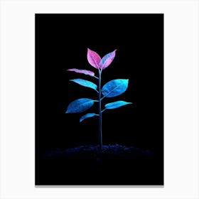 Neon Plant Canvas Print