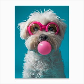 Dog With Pink Bubble Gum Canvas Print
