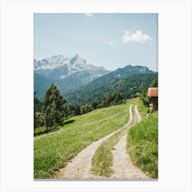 Pathway In The Alps Canvas Print