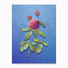 Vintage Agatha Rose In Bloom Botanical Art on Blue Perennial n.1235 Canvas Print