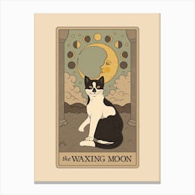 The Waxing Moon   Cats Tarot Canvas Print