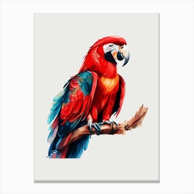 Parrot Canvas Print