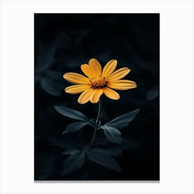 Single Yellow Flower 18 Canvas Print