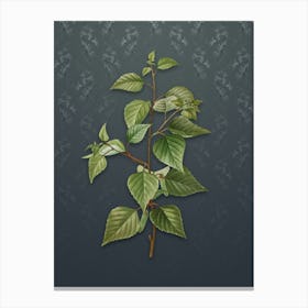 Vintage Black Birch Botanical on Slate Gray Pattern n.0820 Canvas Print