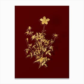 Vintage Single Dwarf Chinese Rose Botanical in Gold on Red n.0533 Canvas Print