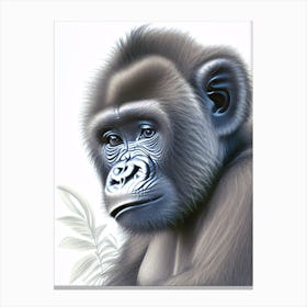 Baby Gorilla Gorillas Greyscale Sketch 2 Canvas Print