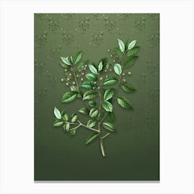 Vintage Evergreen Oak Botanical on Lunar Green Pattern n.0204 Canvas Print