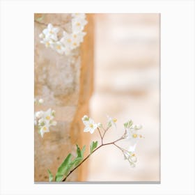 Small White Flowers And Pastel Canvas Print