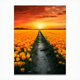 Yellow Tulips At Sunset Canvas Print