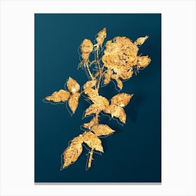 Vintage Provence Rose Botanical in Gold on Teal Blue Canvas Print