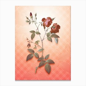 Velvet China Rose Vintage Botanical in Peach Fuzz Tartan Plaid Pattern n.0073 Canvas Print