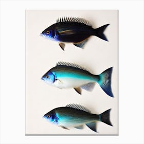 Blue Glaucus Vintage Poster Canvas Print