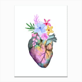 Heart Anatomy 2 Black And White Canvas Print