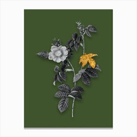 Vintage Dog Rose Black and White Gold Leaf Floral Art on Olive Green n.0169 Canvas Print