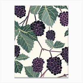 Blackberries Close Up Illustration 1 Canvas Print