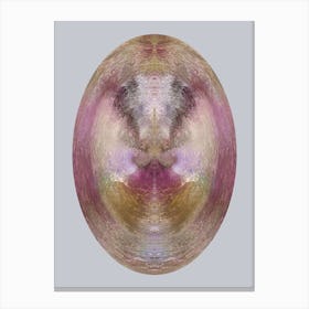 Cosmic Ascension Pink 2 Canvas Print