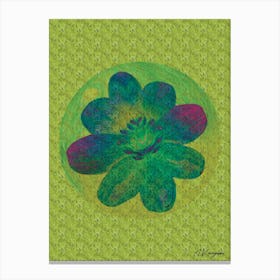 Flower Orb On A Green Background Canvas Print