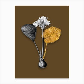 Vintage Cardwell Lily Black and White Gold Leaf Floral Art on Coffee Brown n.0215 Canvas Print