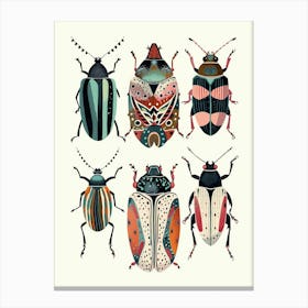 Colourful Insect Illustration Flea Beetle 11 Canvas Print