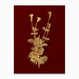 Vintage Spanish Lavender Botanical in Gold on Red n.0333 Canvas Print